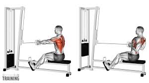 Cable row example 1